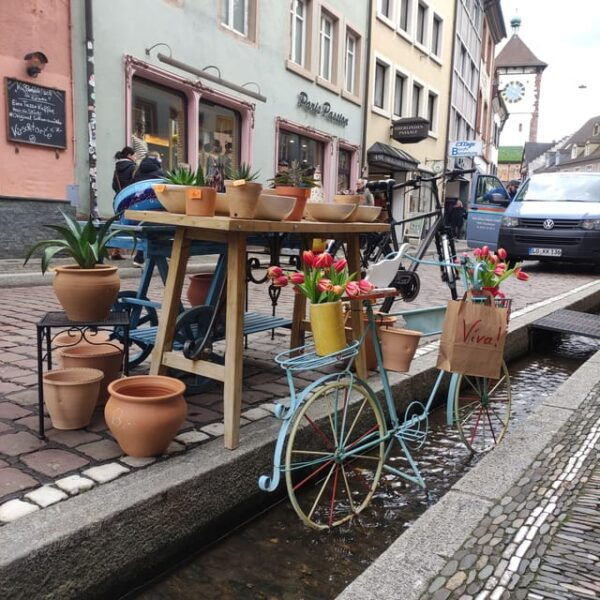 Freiburg Im Breisgau: Regular Italian Old Town Walking Tour - Booking Information