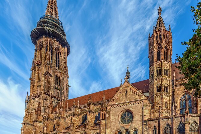 Freiburg Scavenger Hunt and Walking Tour - Tour Provider Information