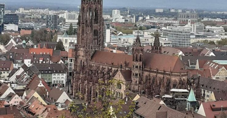 Freiburg: Walking and Strolling the Historic Center - Activity Details and Options