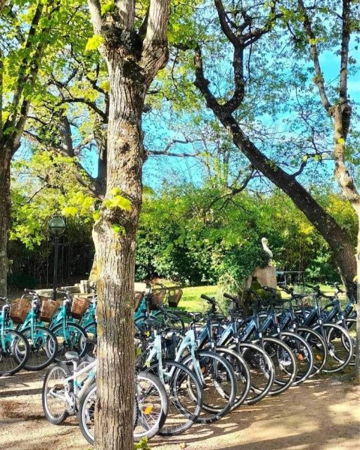 Frejus: Bike Rental - Cancellation Policy Details