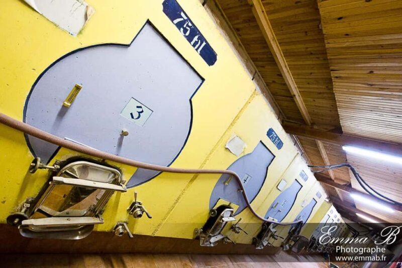 Fréjus: Cave tour and wine tasting - Good To Know