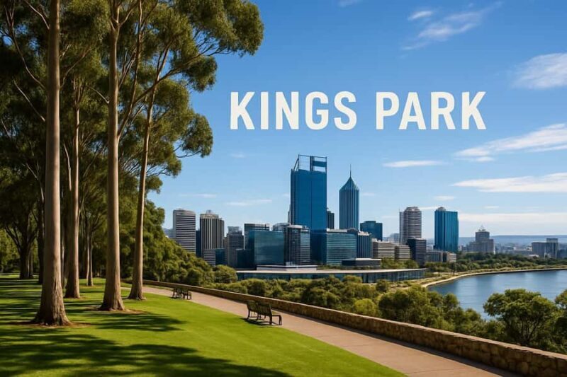 Fremantle: Perth and Fremantle Highlights Tour for Cruises - A Detailed Look at the Fremantle: Perth Highlights Tour