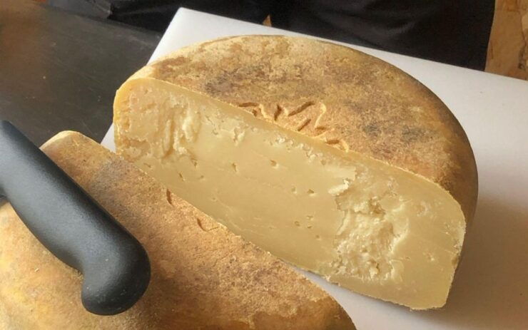 French Basque Country Farms & Food Tour - Highlights of the Tour