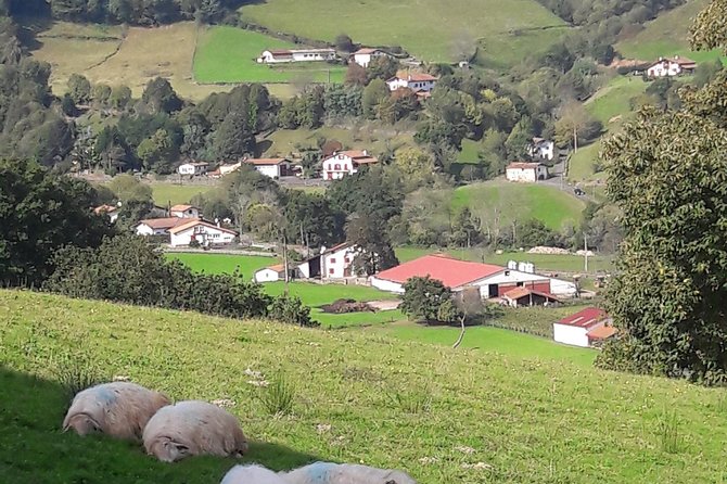 French-Basque Countryside Private Tour Discover the Hidden Beauty of Pyrenees - Benefits of a Private Tour