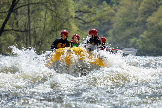 French Broad Gorge Whitewater Rafting Trip - Experience and Expectations