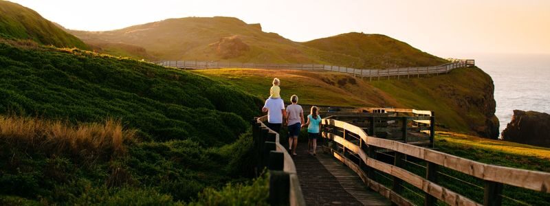 French Island and Phillip Island Wildlife and Penguin Parade Tour - At a glance