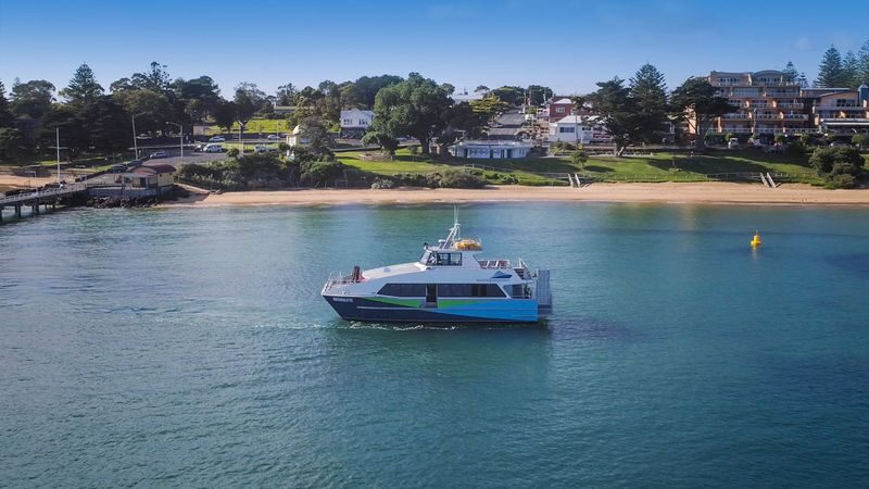 French Island and Phillip Island Wildlife and Penguin Parade Tour - French Island makes this more than a penguin trip