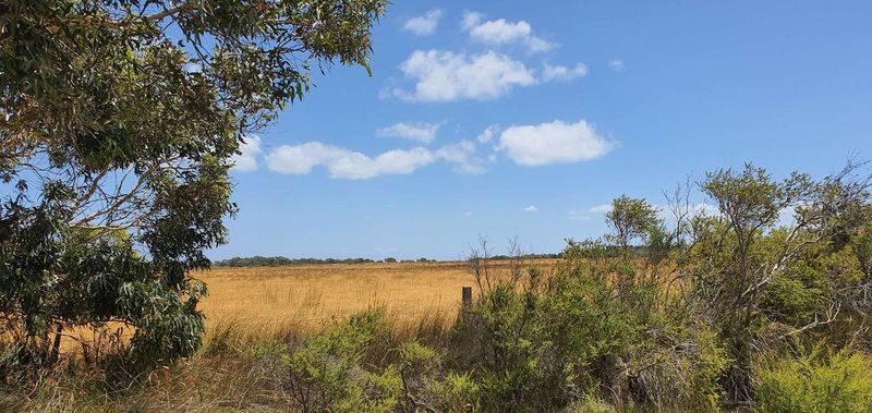 French Island and Phillip Island Wildlife and Penguin Parade Tour - Cowes offers a breather before the evening