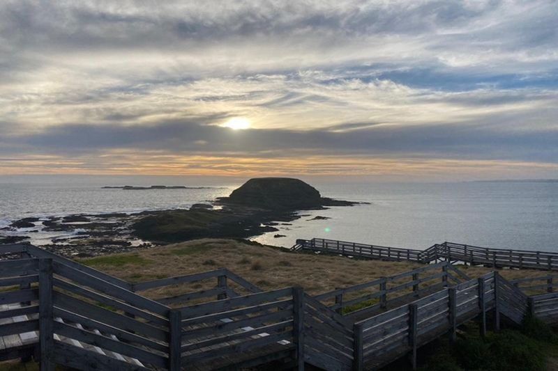 French Island and Phillip Island Wildlife and Penguin Parade Tour - The Nobbies brings the coast into focus