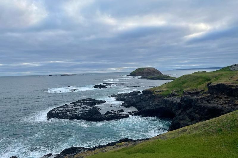 French Island and Phillip Island Wildlife and Penguin Parade Tour - Guides, transport and the value of the day