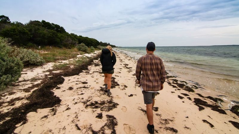 French Island and Phillip Island Wildlife and Penguin Parade Tour - Should you book this French Island and Phillip Island tour?