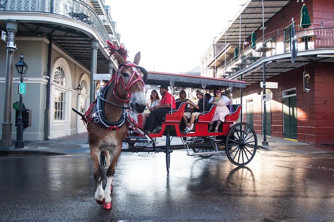 French Quarter & Marigny Neighborhood Carriage Ride - Overview and Experience