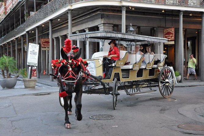 French Quarter & Marigny Neighborhood Carriage Ride - Tour Highlights