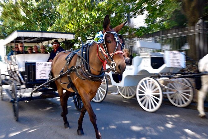French Quarter & Marigny Neighborhood Carriage Ride - Insider Tips