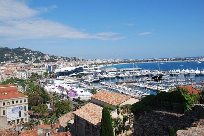 French Riviera Cannes to Monte-Carlo Discovery Small Group Day Trip From Nice - Highlights of the Tour and Praise for the Tour Guides