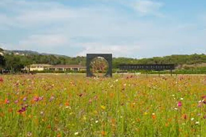 French Riviera Custom Private Tour: Nice, Cannes, Monaco, More - Discover Antibes, Saint-Tropez, and Provence