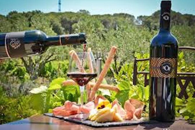 French Riviera Custom Private Tour: Nice, Cannes, Monaco, More - Enjoy Seaside Villas and Vineyards