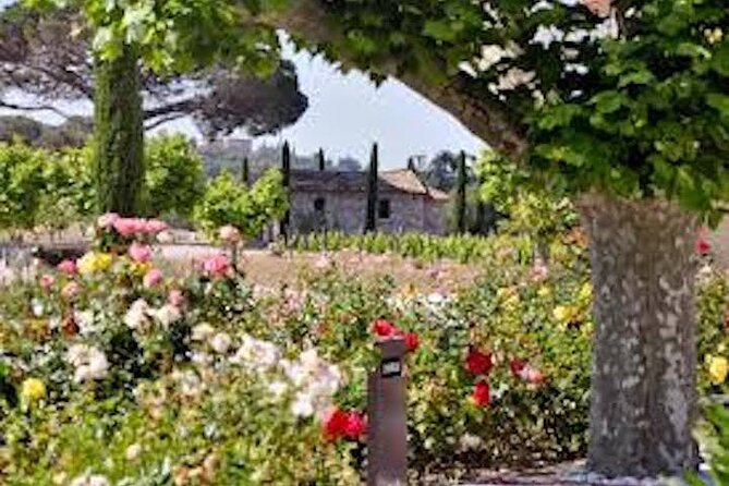 French Riviera Custom Private Tour: Nice, Cannes, Monaco, More - Experience Monacos Glamorous Nightlife