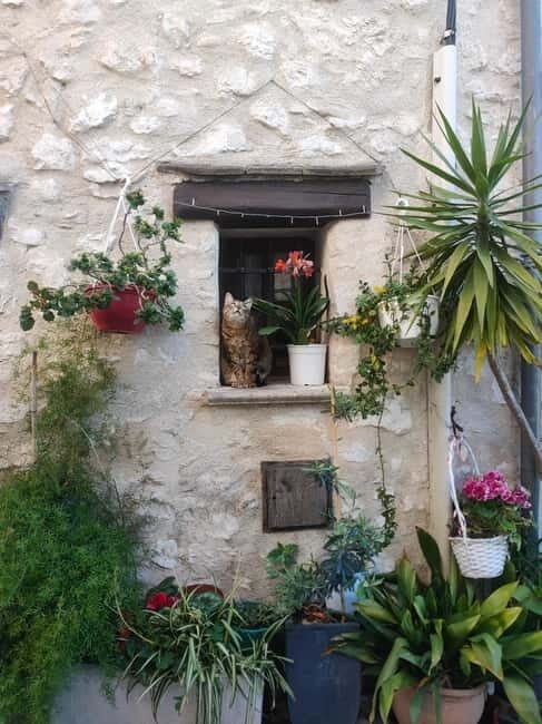 French Riviera Full Day Tour - The Experience in Detail: What to Expect