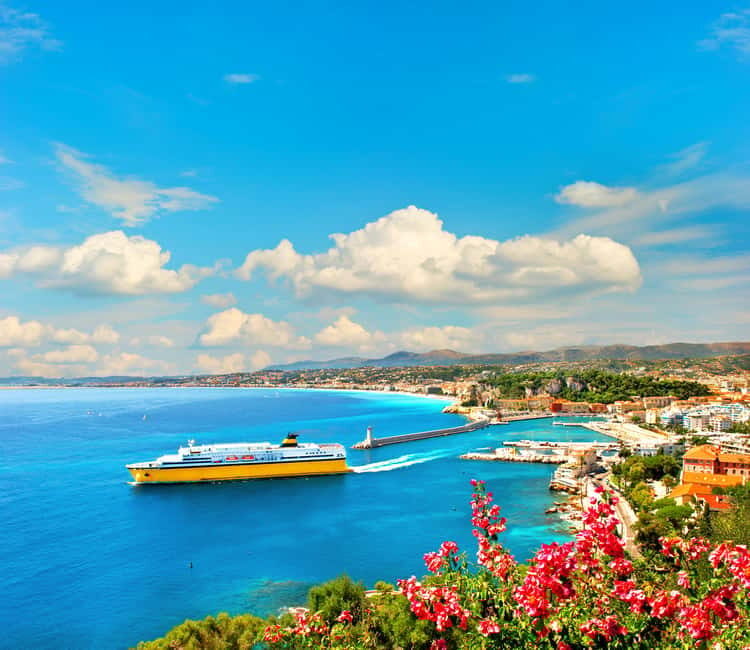 French Riviera: Half-Day Private Tour and Transfer - Authentic Experiences and Insights from Reviews