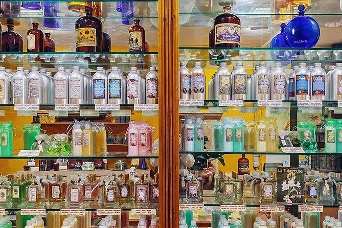 French Riviera in One Day From Nice - Traveler Tips and Reviews