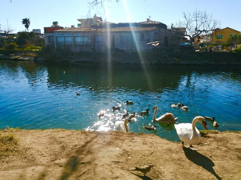 French Riviera's Jewels - E-Bike Tour Antibes - Saint-Paul - An Overview of the French Rivieras Jewels E-Bike Tour