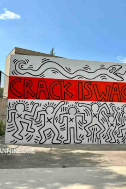 French Walking Tour in East Harlem and Bronx - Good To Know