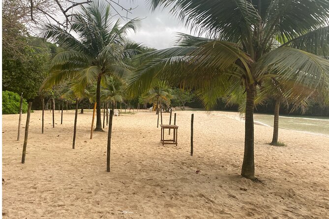 Frenchman's Cove Beach Inclusive Tour From Montego Bay - Tour Overview