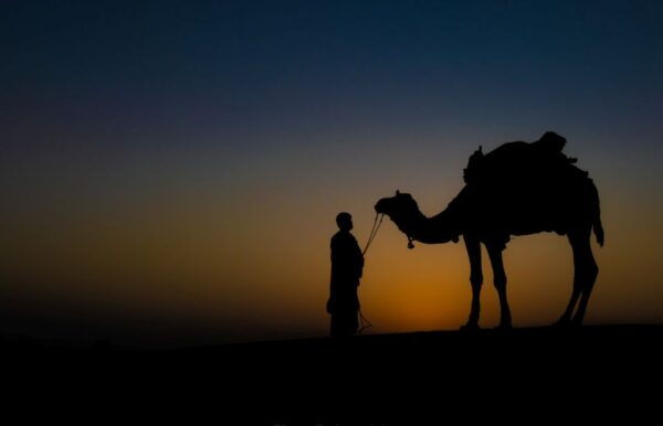 Frenzy Paradise Overnight Desert Camping Tour in Thar Desert - The Sum Up
