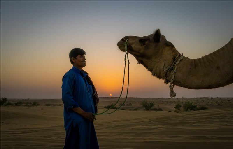 Frenzy Paradise Overnight Thar Desert Camping Tour - The morning return to Jaisalmer