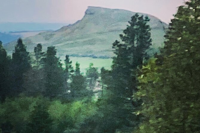 Fresh Air Hike and Picnic in Beautiful Middlesbrough Countryside - Pricing and Booking Information