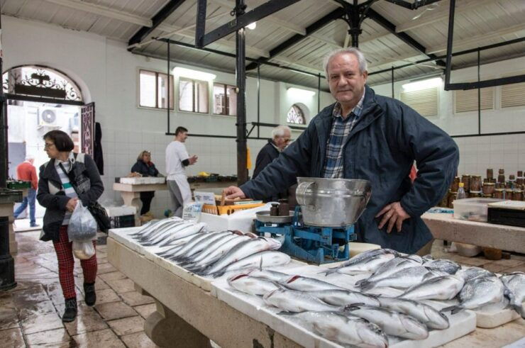 Fresh Catch: Private Split Tour & Seafood Dining Experience - Key Highlights