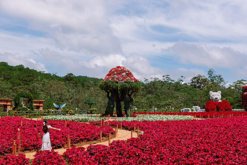 Fresh Garden and Fresh Zoo Ticket in Da Lat City - What to know before you go