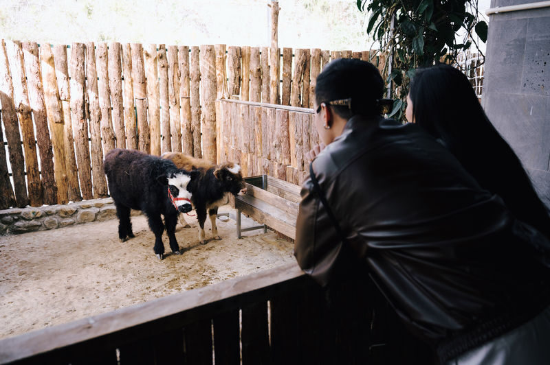 Fresh Garden and Fresh Zoo Ticket in Da Lat City - A flower garden with a playful side