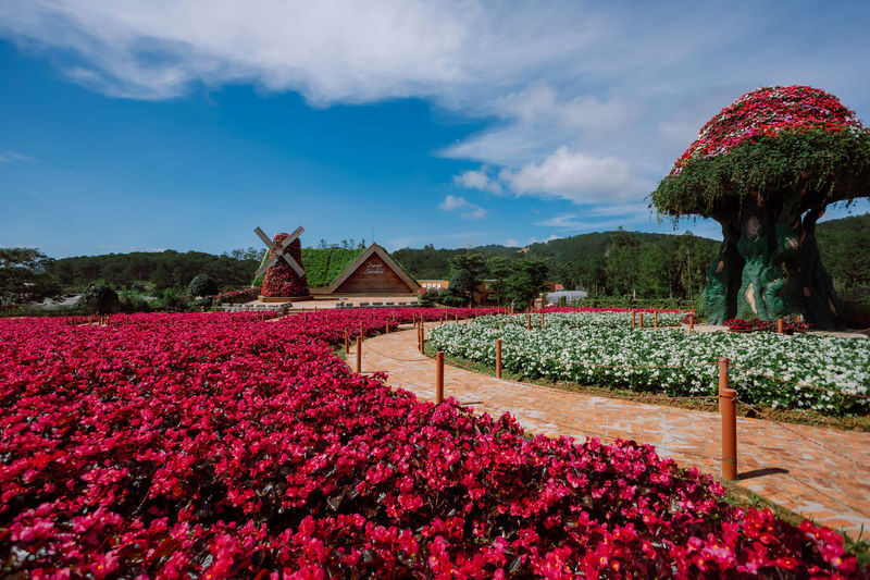 Fresh Garden and Fresh Zoo Ticket in Da Lat City - Finding the garden’s photo spots