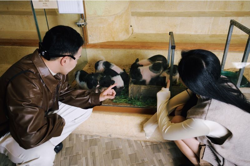 Fresh Garden and Fresh Zoo Ticket in Da Lat City - Timing, weather, and getting there