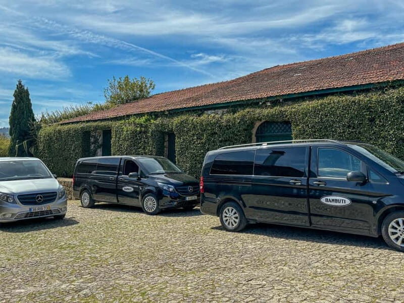 Fresh Wine Tour: Discover Vinho Verde in Douro Valley - The Sum Up