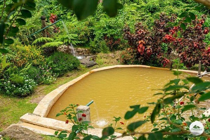 Freshwater Lake Titou Gorge Waterfalls and Sulphur Spa Adventure - Exploring Dominica’s Natural Wonders: A Detailed Look at the Tour