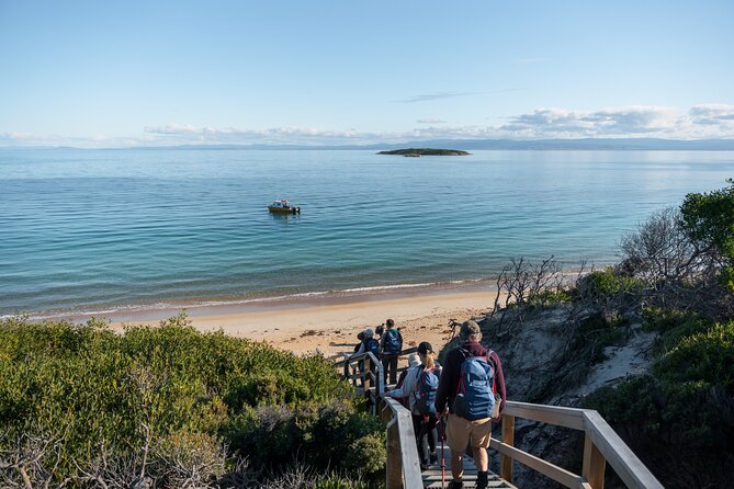 Freycinet National Park Walking Tour and Beach Picnic Lunch  - Coles Bay - Traveler Photos
