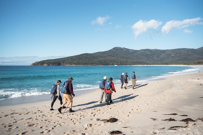 Freycinet National Park Walking Tour and Beach Picnic Lunch  - Coles Bay - Tips for a Great Experience