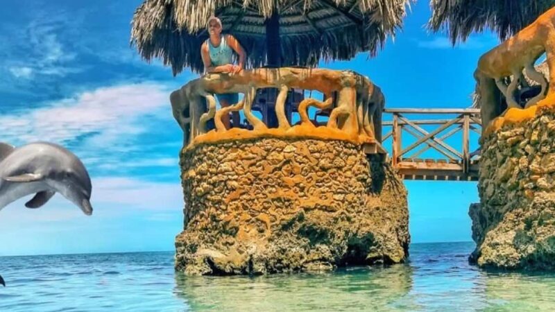 Fricolandia Beach Club Day Trip with Lunch - Deep Dive into the Experience