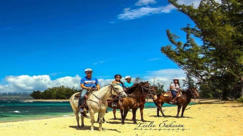 Fricolandia Beach Club Day Trip with Lunch - Who Will Love This Tour?