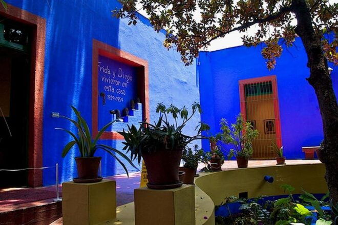Frida Kahlo: Passion, Pain, and Hope (Walking Tour) - Taking in Fridas Personal World