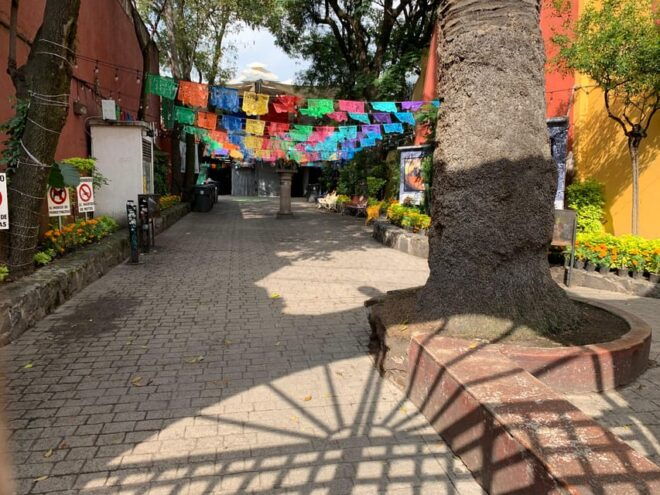 Frida Kahlo: Passion, Pain, and Hope (Walking Tour) - Tracing Fridas Footsteps in Coyoacán