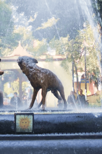 Frida Kahlo: Passion, Pain, and Hope (Walking Tour) - Preparing for the Frida Kahlo Experience