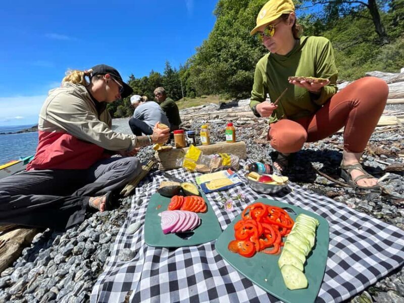 Friday Harbor: Half-Day Family Kayaking and Hiking Tour - The Kayaking Segment: Paddling from Pear Point to Turn Island