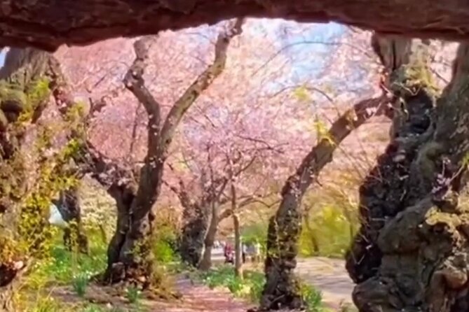 Friday Small-Group Walking Gluten Free Food Tour of New York City - Meeting Point and Tour Guide