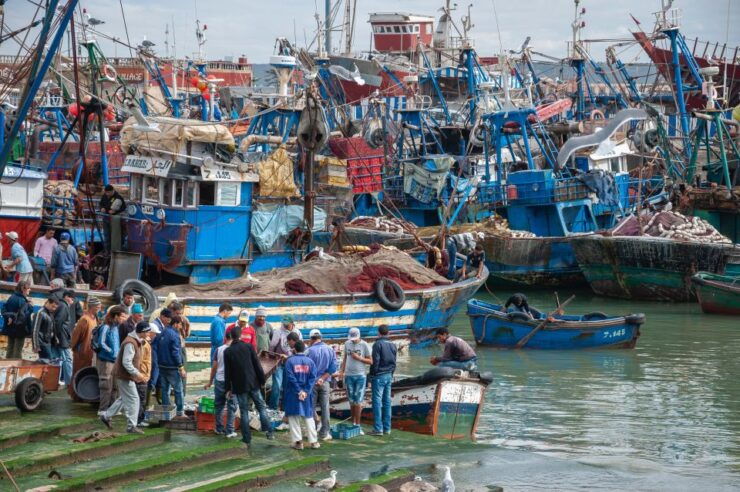 Friend-Guide Essaouira City Tour - Participant Selection and Date