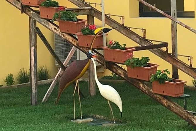 Friendinvenice Murano Burano Torcello Private Tours by Luxury Water Taxi - Traveler Photos and Reviews