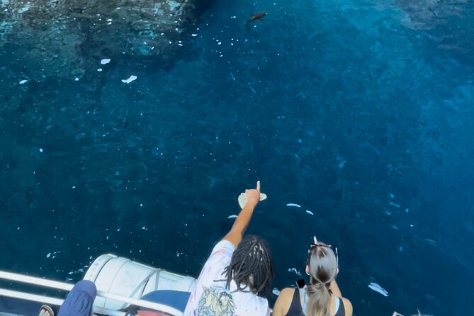 Friendly Discovery of Scandola Calanques De Piana and Meal Stop at Girolata - Additional Information